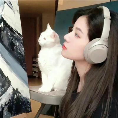 红犬历险记